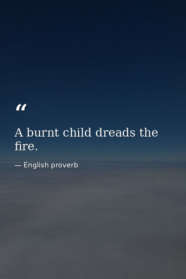 A burnt child dreads the fire. — English proverb