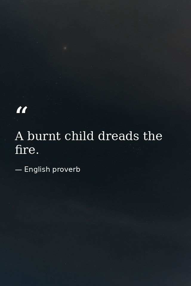A burnt child dreads the fire. — English proverb