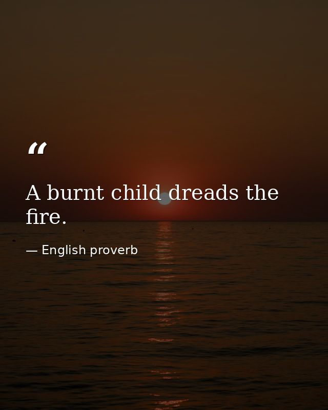 A burnt child dreads the fire. — English proverb