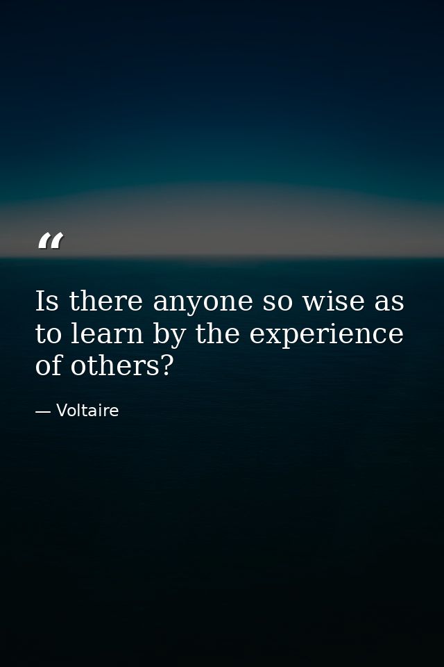 Is there anyone so wise as to learn by the experience of others? — Voltaire