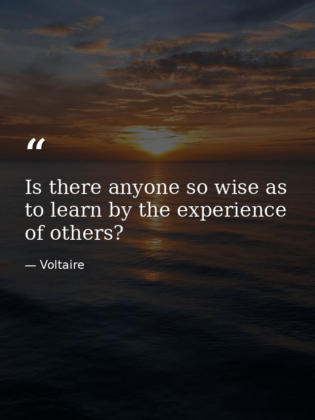 Is there anyone so wise as to learn by the experience of others? — Voltaire