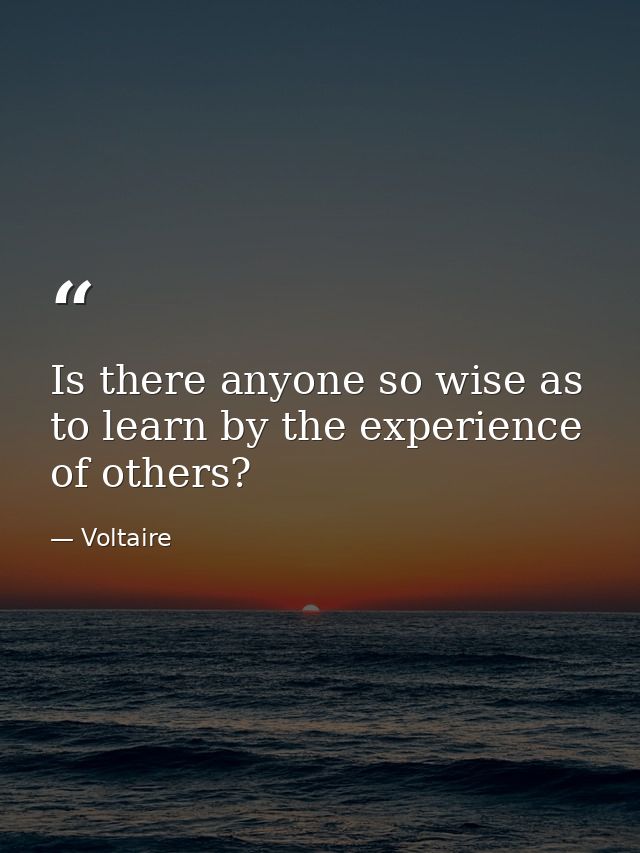 Is there anyone so wise as to learn by the experience of others? — Voltaire