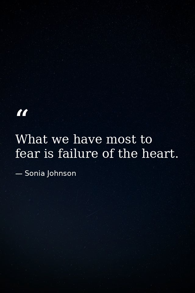What we have most to fear is failure of the heart. — Sonia Johnson