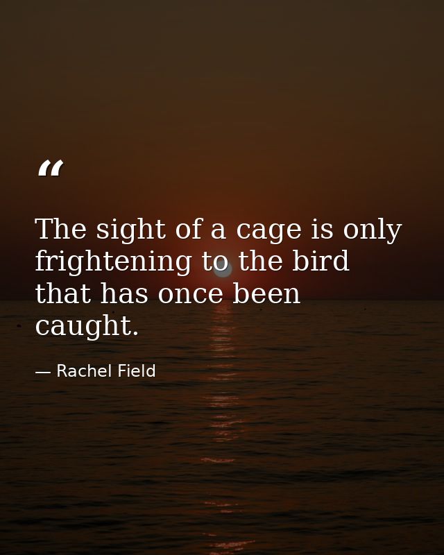 The sight of a cage is only frightening to the bird that has once been caught. — Rachel Field