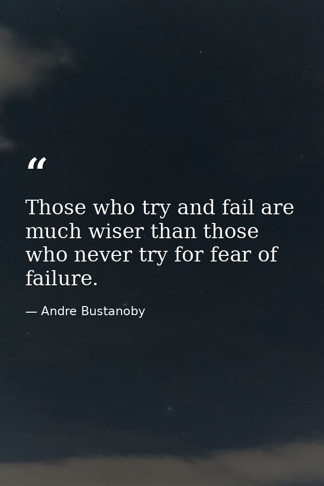 Those who try and fail are much wiser than those who never try for fear of failure. — Andre Bustanoby