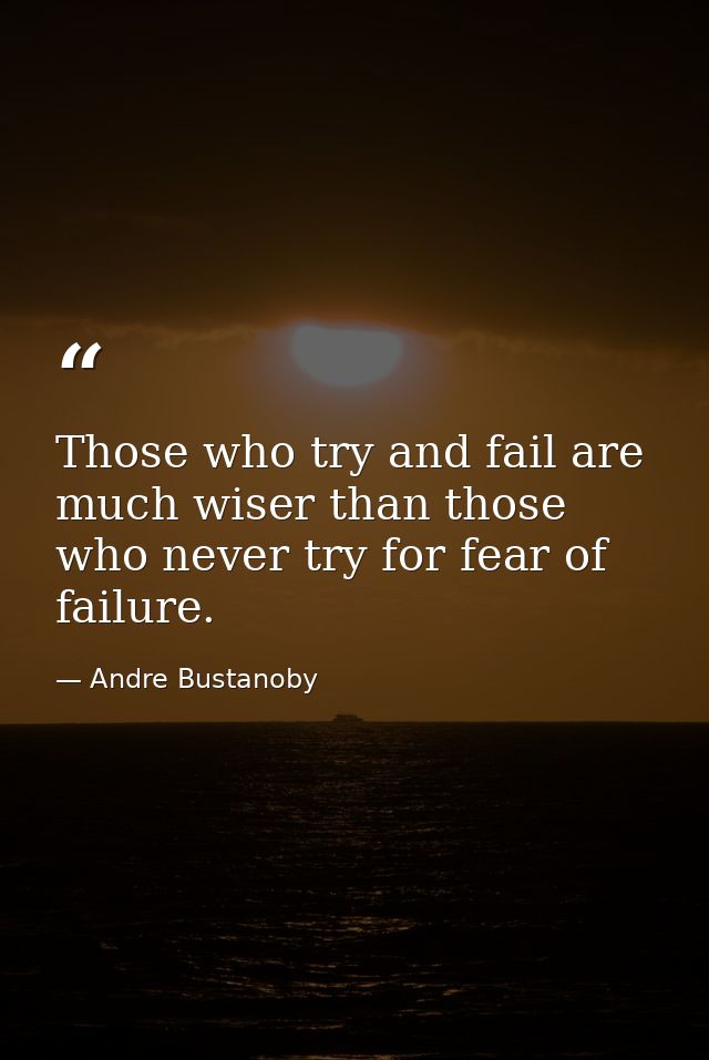 Those who try and fail are much wiser than those who never try for fear of failure. — Andre Bustanoby