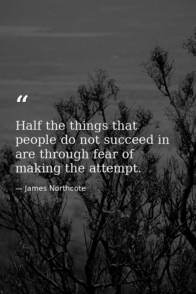 Half the things that people do not succeed in are through fear of making the attempt. — James Northcote