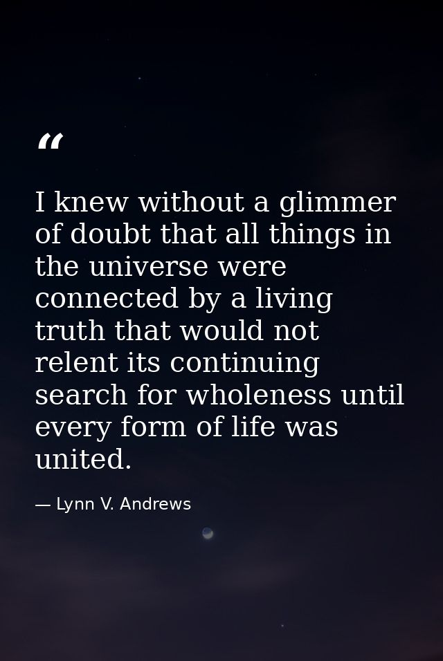 I knew without a glimmer of doubt that all things in the universe were connected by a living truth that would not relent — Lynn V. Andrews