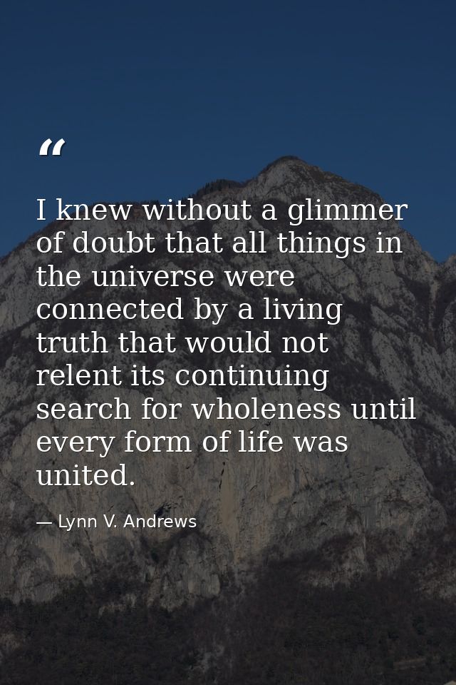 I knew without a glimmer of doubt that all things in the universe were connected by a living truth that would not relent — Lynn V. Andrews