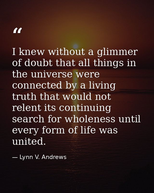 I knew without a glimmer of doubt that all things in the universe were connected by a living truth that would not relent — Lynn V. Andrews