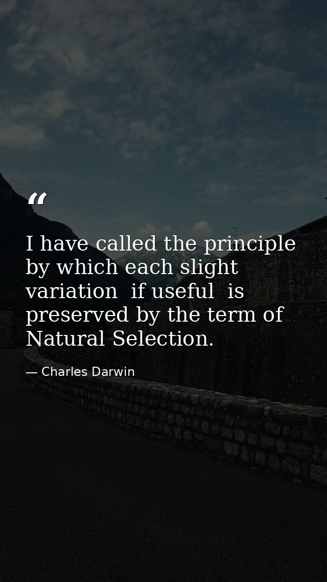 I have called the principle  by which each slight variation  if useful  is preserved by the term of Natural Selection. — Charles Darwin