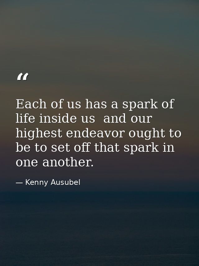 Each of us has a spark of life inside us  and our highest endeavor ought to be to set off that spark in one another. — Kenny Ausubel