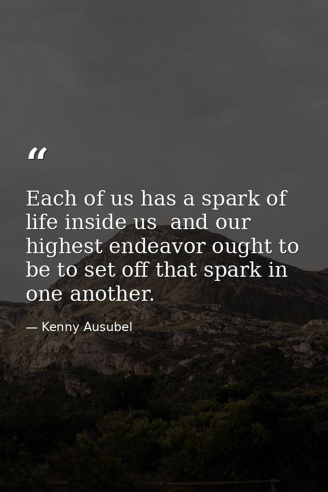Each of us has a spark of life inside us  and our highest endeavor ought to be to set off that spark in one another. — Kenny Ausubel