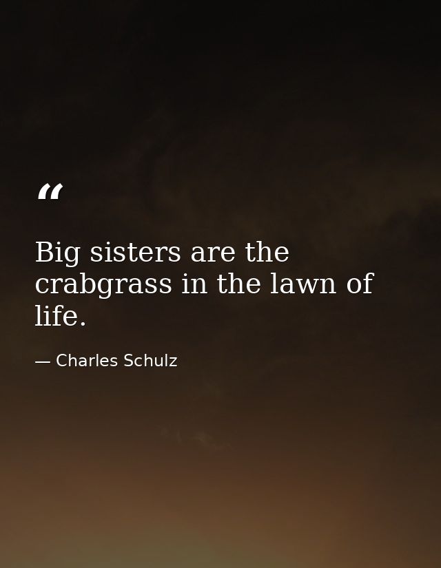Big sisters are the crabgrass in the lawn of life. — Charles Schulz