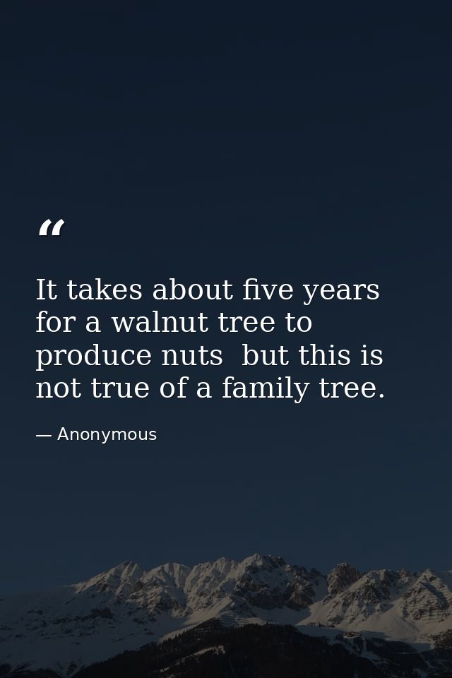 It takes about five years for a walnut tree to produce nuts  but this is not true of a family tree. — Anonymous