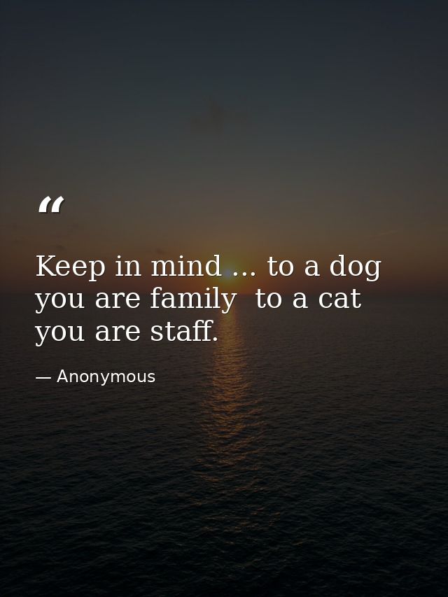 Keep in mind ... to a dog you are family  to a cat you are staff. — Anonymous