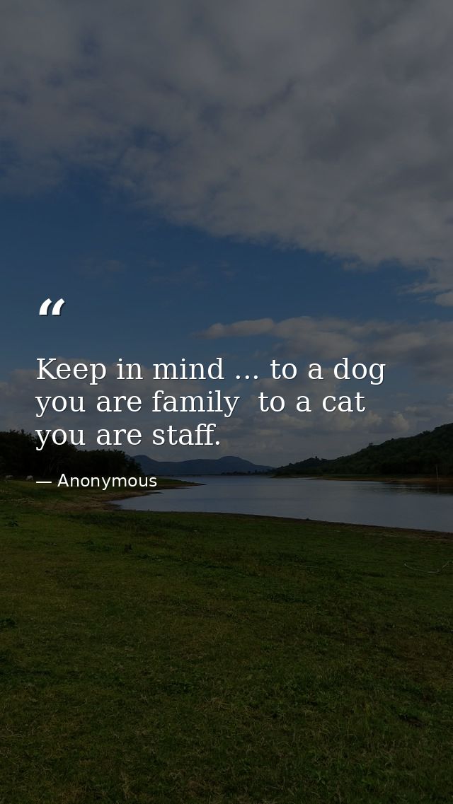 Keep in mind ... to a dog you are family  to a cat you are staff. — Anonymous