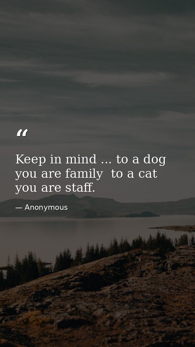 Keep in mind ... to a dog you are family  to a cat you are staff. — Anonymous
