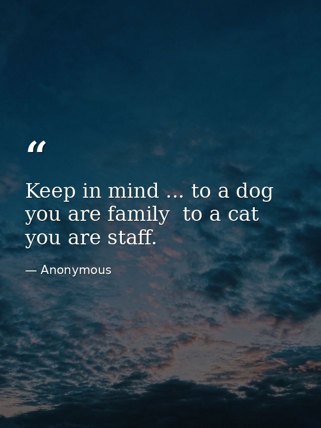 Keep in mind ... to a dog you are family  to a cat you are staff. — Anonymous