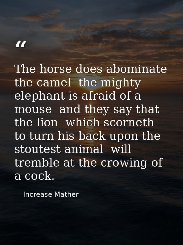 The horse does abominate the camel  the mighty elephant is afraid of a mouse  and they say that the lion  which scorneth — Increase Mather