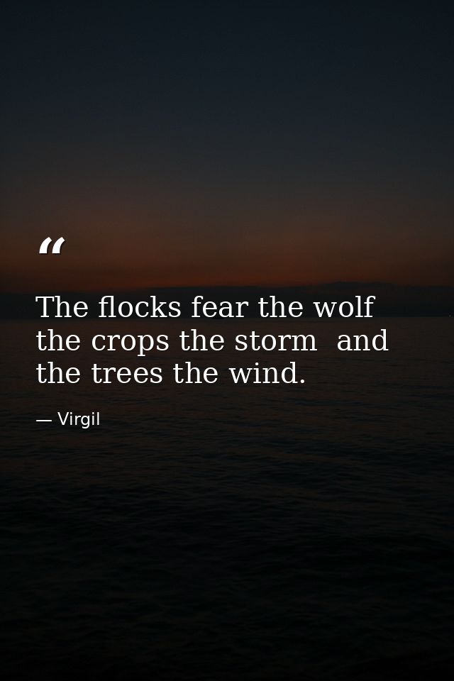 The flocks fear the wolf  the crops the storm  and the trees the wind. — Virgil