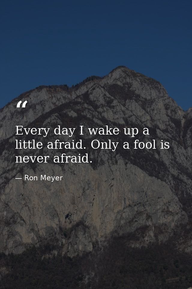 Every day I wake up a little afraid. Only a fool is never afraid. — Ron Meyer