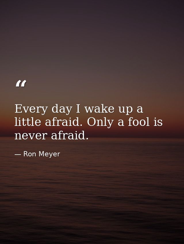 Every day I wake up a little afraid. Only a fool is never afraid. — Ron Meyer