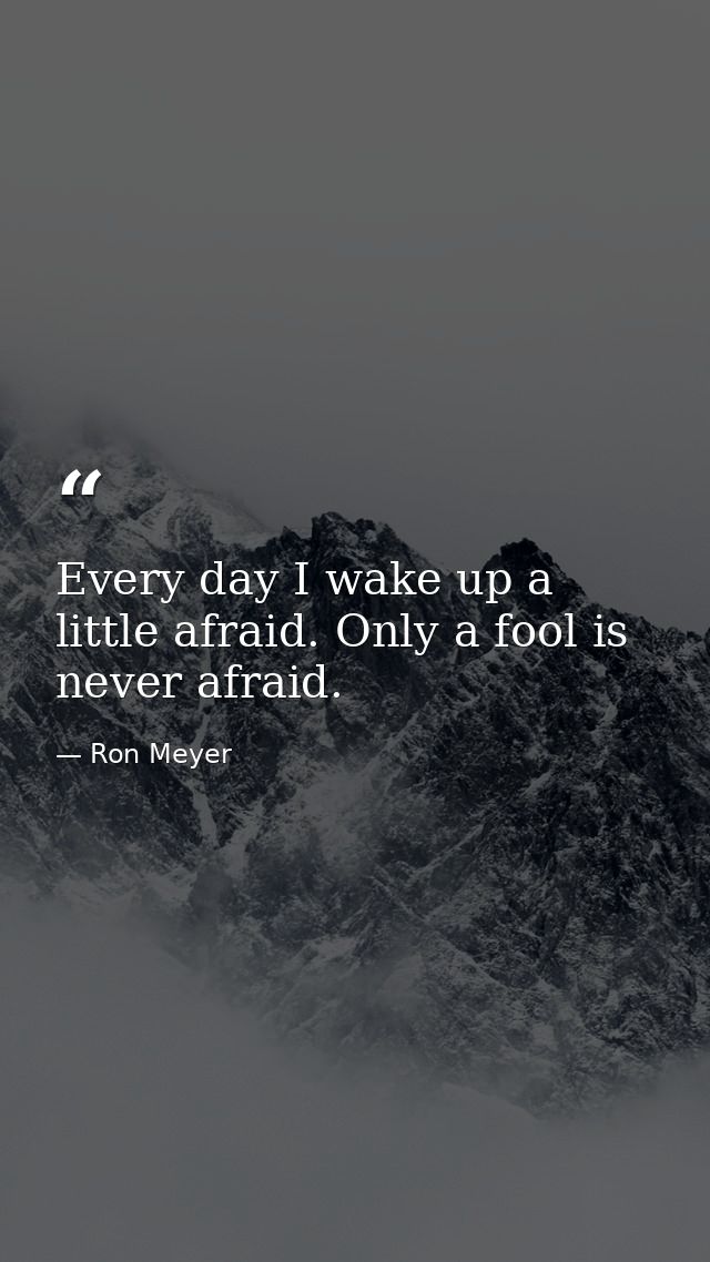 Every day I wake up a little afraid. Only a fool is never afraid. — Ron Meyer
