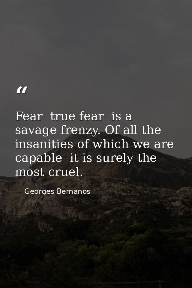 Fear  true fear  is a savage frenzy. Of all the insanities of which we are capable  it is surely the most cruel. — Georges Bernanos