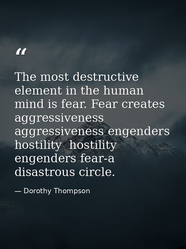 The most destructive element in the human mind is fear. Fear creates aggressiveness  aggressiveness engenders hostility  — Dorothy Thompson