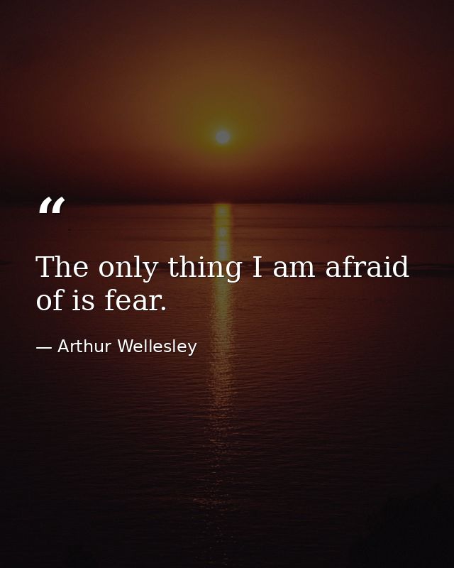 The only thing I am afraid of is fear. — Arthur Wellesley