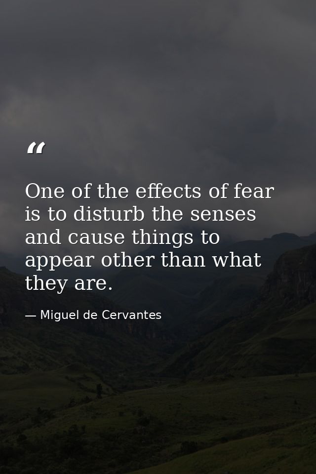 One of the effects of fear is to disturb the senses and cause things to appear other than what they are. — Miguel de Cervantes