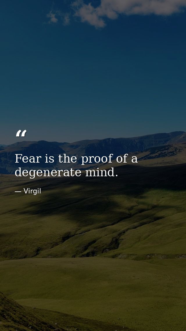 Fear is the proof of a degenerate mind. — Virgil