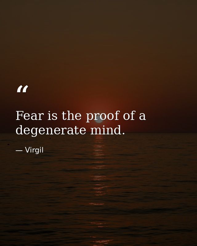 Fear is the proof of a degenerate mind. — Virgil