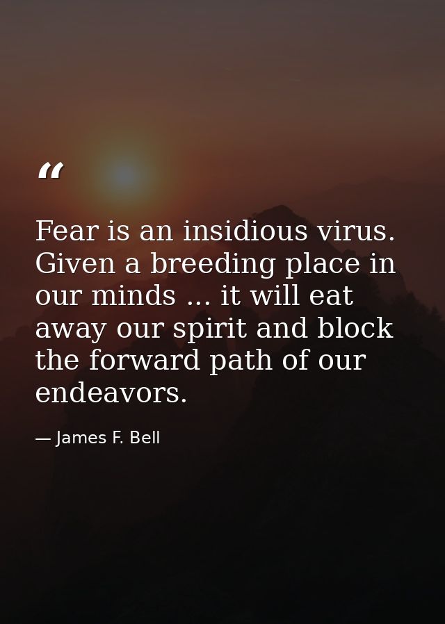 Fear is an insidious virus. Given a breeding place in our minds ... it will eat away our spirit and block the forward pa — James F. Bell