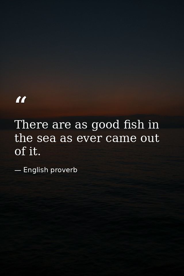 There are as good fish in the sea as ever came out of it. — English proverb