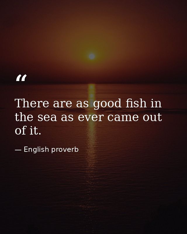 There are as good fish in the sea as ever came out of it. — English proverb
