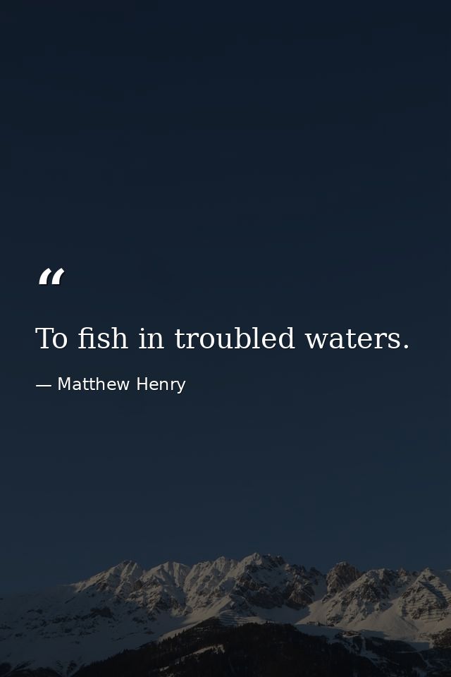 To fish in troubled waters. — Matthew Henry