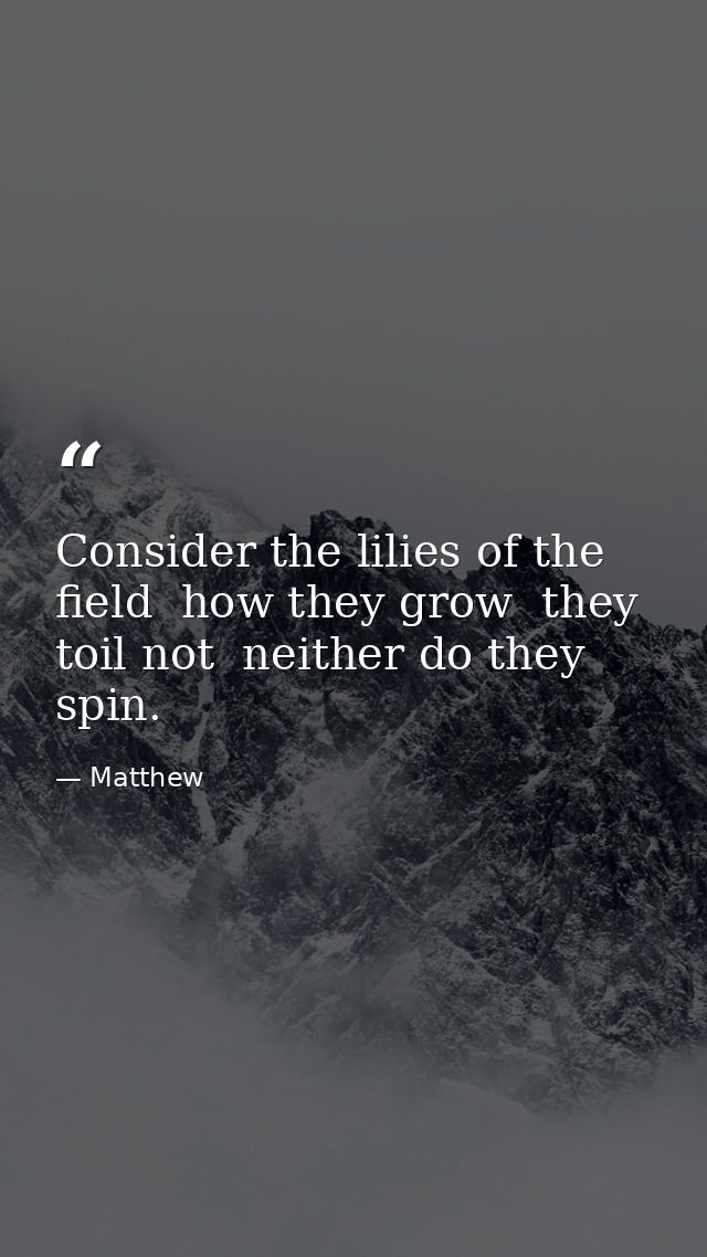 Consider the lilies of the field  how they grow  they toil not  neither do they spin. — Matthew