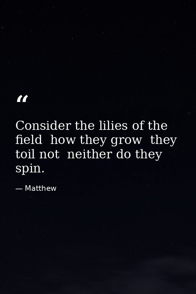 Consider the lilies of the field  how they grow  they toil not  neither do they spin. — Matthew