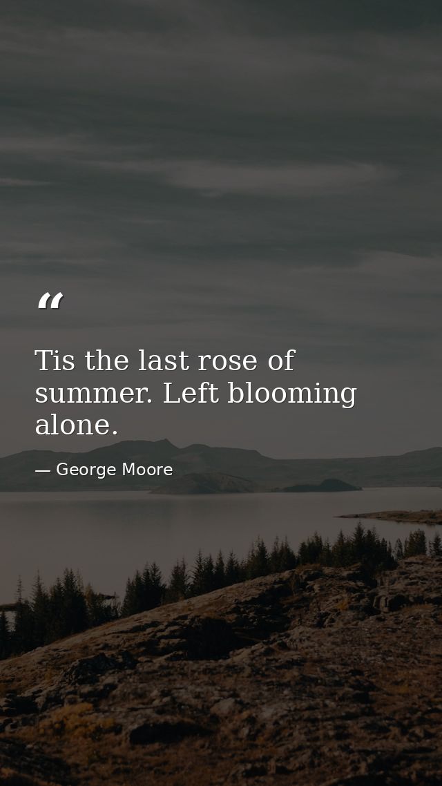 Tis the last rose of summer. Left blooming alone. — George Moore