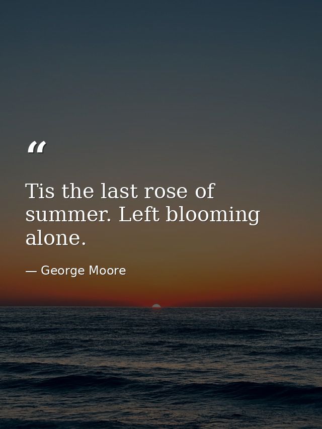 Tis the last rose of summer. Left blooming alone. — George Moore