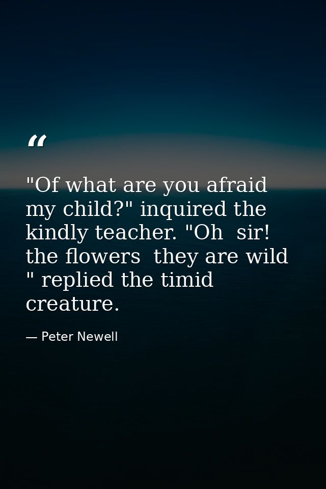 "Of what are you afraid  my child?" inquired the kindly teacher. "Oh  sir! the flowers  they are wild " replied the timi — Peter Newell