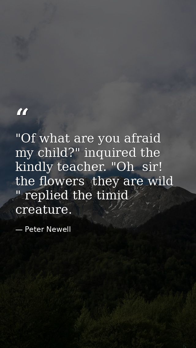 "Of what are you afraid  my child?" inquired the kindly teacher. "Oh  sir! the flowers  they are wild " replied the timi — Peter Newell
