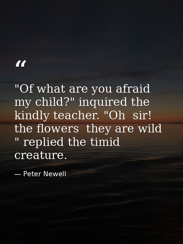 "Of what are you afraid  my child?" inquired the kindly teacher. "Oh  sir! the flowers  they are wild " replied the timi — Peter Newell
