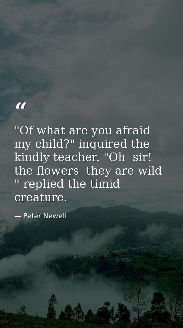 "Of what are you afraid  my child?" inquired the kindly teacher. "Oh  sir! the flowers  they are wild " replied the timi — Peter Newell