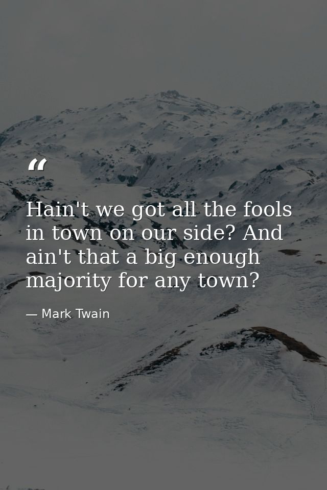 Hain't we got all the fools in town on our side? And ain't that a big enough majority for any town? — Mark Twain