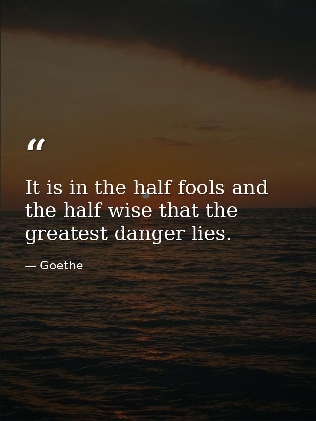 It is in the half fools and the half wise that the greatest danger lies. — Goethe