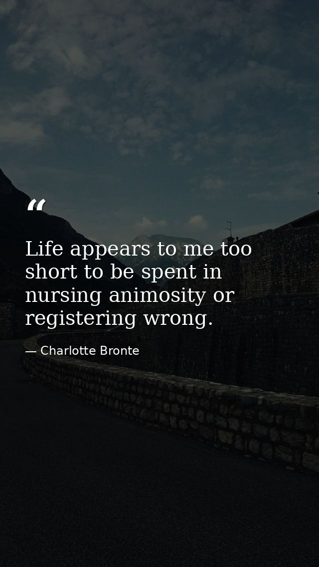 Life appears to me too short to be spent in nursing animosity or registering wrong. — Charlotte Bronte
