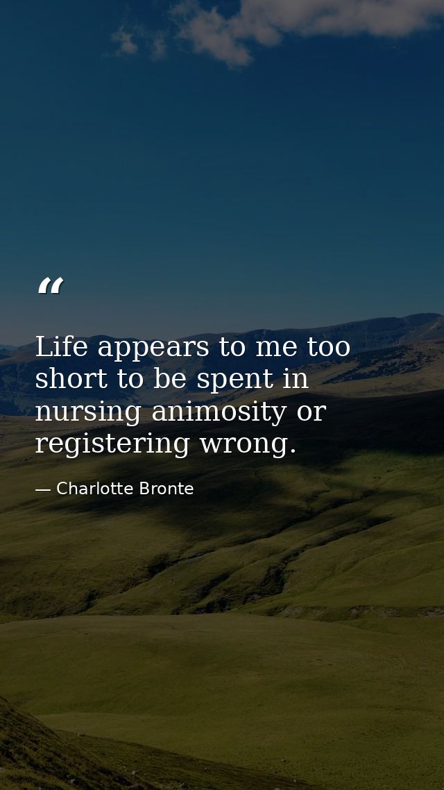 Life appears to me too short to be spent in nursing animosity or registering wrong. — Charlotte Bronte